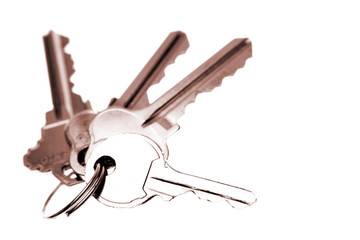 Four keys isolated over white 