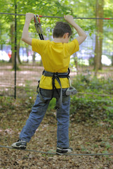 Naklejka premium Acro branche