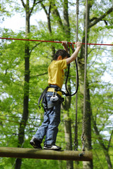 Grimp &agrave; l'arbre