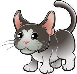 Cute Domestic Cat Vector Illustration