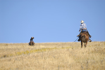 Gallop On The Prairie