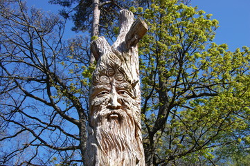 Tree carving