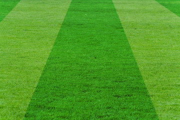 soccer field for background use