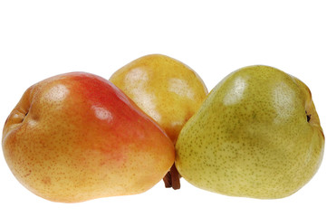 three colorful pears
