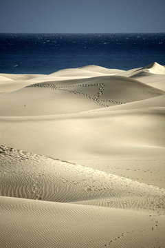 Sur de Gran Canaria