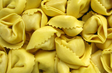 Tortelline Italian pasta with cheese, meat and mushrooms