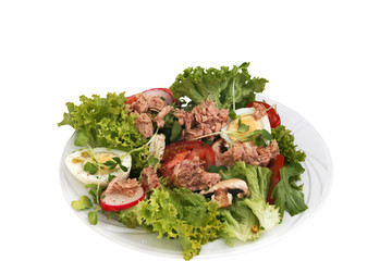 Salat Nicoise mit Thunfisch