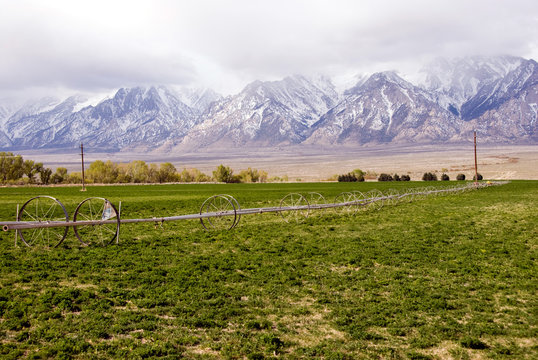 Irrigating The Field