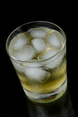 Lemon, Lime & Bitters