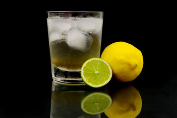 Lemon, Lime & Bitters