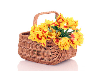 Fototapeta na wymiar basket of tulips