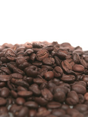 It is a lot of grains of coffee lay all together