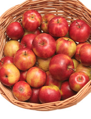 Fototapeta na wymiar Many red apples lay in a basket on a white background