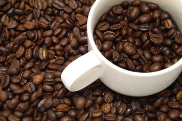 coffee