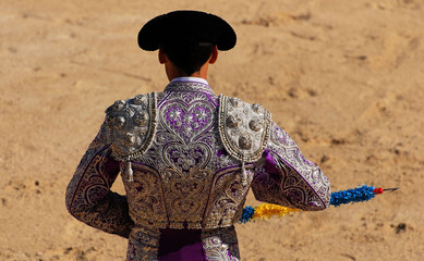 Naklejka premium costume mauve