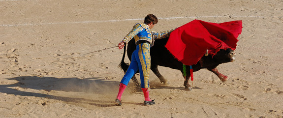 Naklejka premium panoramique de corrida
