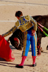 Obraz premium toro de palavas