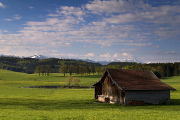 Frühling II