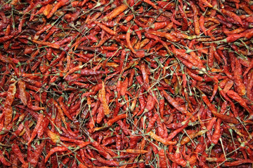 Naklejka premium Chillies drying naturally