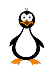 Penguin Illustration