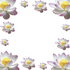 carré de lotus