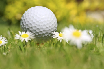 golf time
