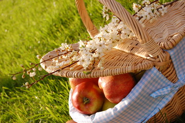 Picnic basket