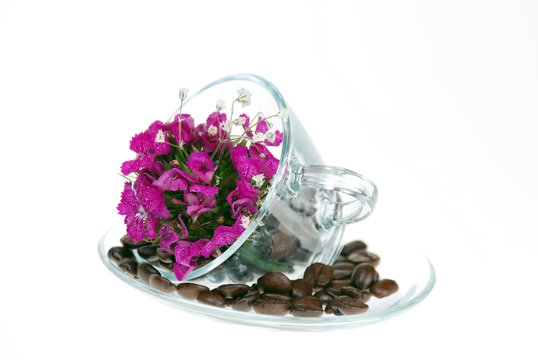 Coffee beans and Pink Flower 