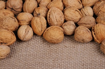 walnuts 