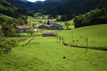 Fototapeta na wymiar Dolina w Kraju Basków 3