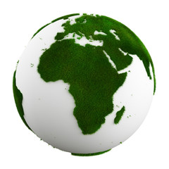 grass earth - africa