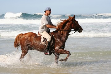 Horse and rider in Sea