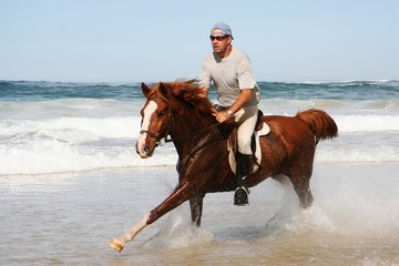 Running Horse at beach