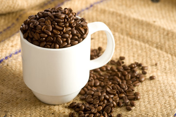 Whole Coffee Beans in Cup