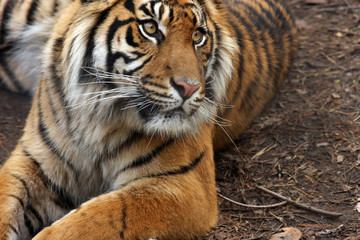 Things Are Looking Up