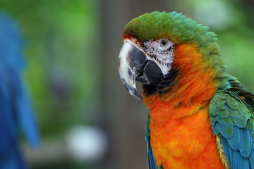 Colors Of The Rainbow