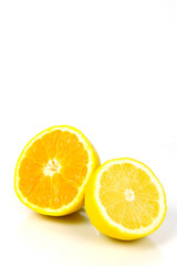 Fototapeta premium Citrus Fruits