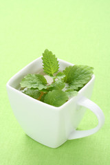 mint tea
