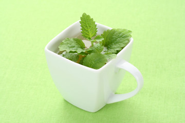 mint tea