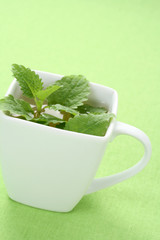 mint tea