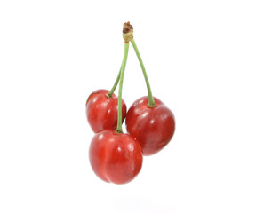 cherry
