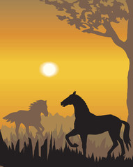 Vector evening illustration with wild animals