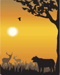 Vector evening illustration with wild animals