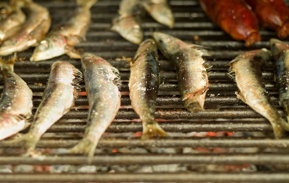 grilled fish
