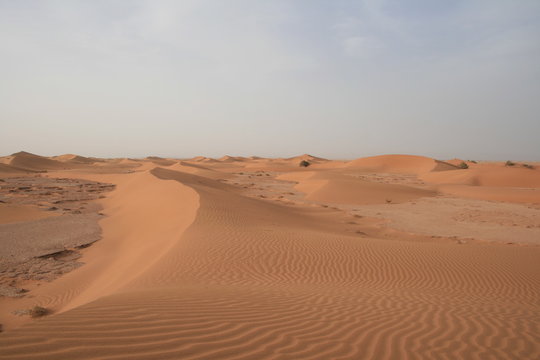 Dunes dans le Sahara, Maroc