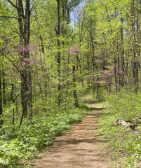 Hiking trail