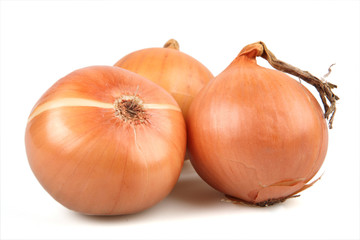 Head of fresh onions