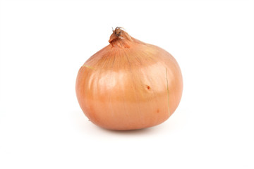 Head of fresh onions