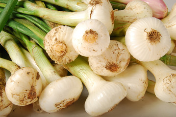 oignons blancs