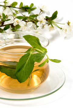 herbaceous tea on white background